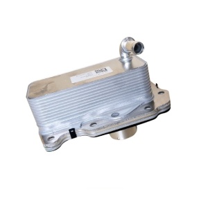 Termoflot LR075630 Nissens G4D3-6A642-AA