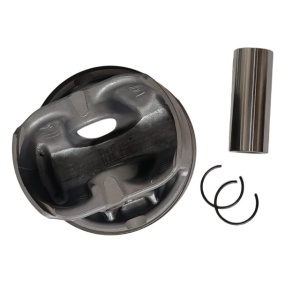 Piston motor 5.0 Benzina Supercharged NE - Img 2