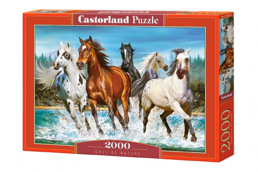 Puzzle 2000 delova c-200702-2 call of nature castorland