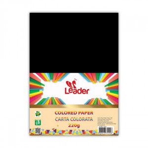 Hamer 220g A4 Leader 100l crni