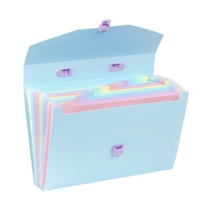 Expanding fascikla sa 12 pregrada, sa ručkom i kopčanjem Rainbow Pastel sortirano Vique