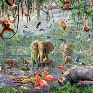 Wildlife - Panorama 3.600
