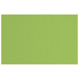 Papir u boji B1 220g Elle Erre Fabriano 46470110 zeleni (verde pisello) pk10