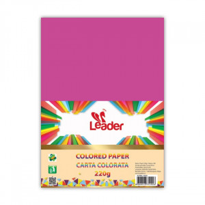 Hamer 220g A4 Leader 100l roze