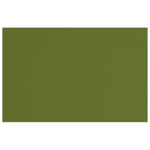 Papir u boji A4 220g Elle Erre Fabriano maslinasto zeleni (verdone) pk50