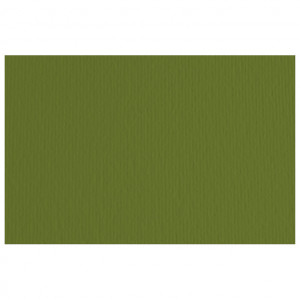 Papir u boji B2 220g Elle Erre Fabriano 42450728 maslinasto zeleni (verdone) pk20