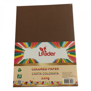 Hamer 220g A4 Leader 100l braon