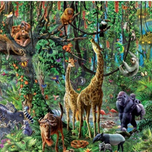 Wildlife - Panorama 3.600