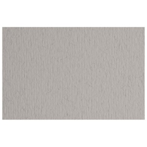 Papir u boji A4 220g Elle Erre Fabriano 42450730 svetlo sivi (china) pk50