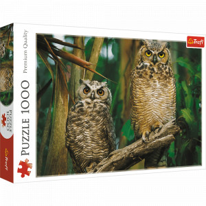 Trefl Puzzle Owls 1000 delova