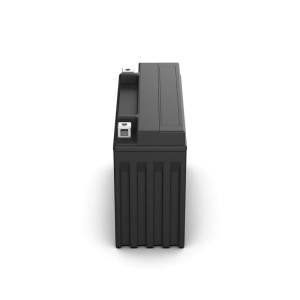 Akumulator (YTX24HL-BS) 21Ah 330A FA123 Bosch Factory Activated AGM - Img 2