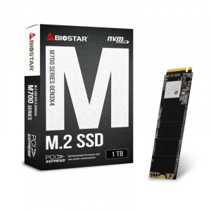 SSD M.2 Biostar M700 1TB PCI-E Gen3x4 - Img 1