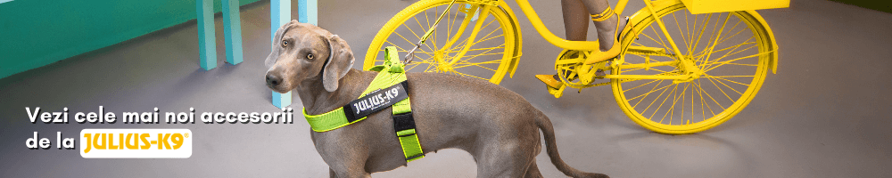 accesorii pentru caini julius k9