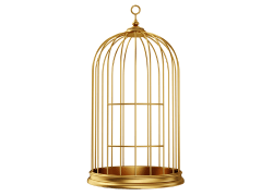 Colivii | Accesorii