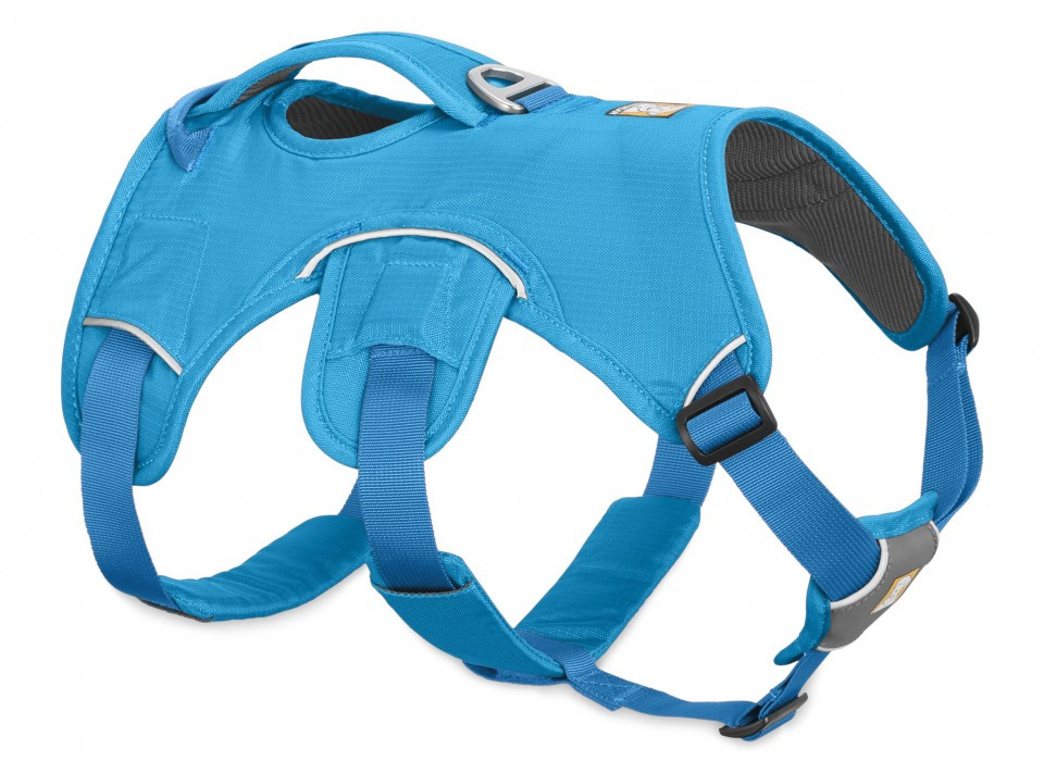 Ham Web Master Ruffwear L XL Blue Dusk