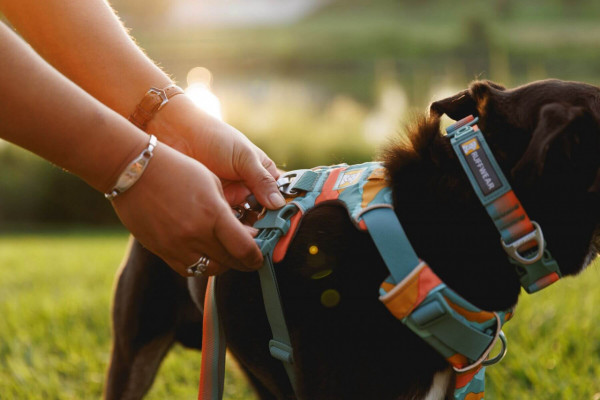 Ham Front Range Ruffwear - S - Spring Mountains
