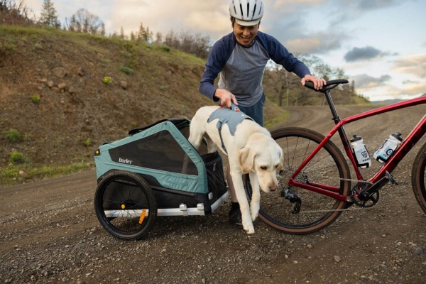 Ham Web Master Ruffwear - M - Slate Blue