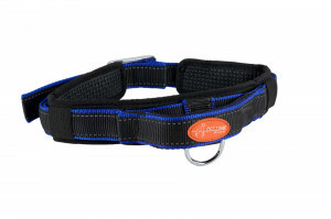 Zgarda nylon captusita, cu maner - Albastru