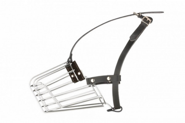 Botnita metal DogTech - Ciobanesc German 3