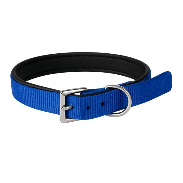 Zgarda nylon captusita - 2.5cm - Albastru