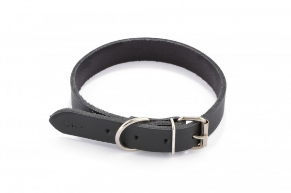 Zgarda piele DogTech - 40mmx80cm
