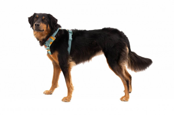 Ham Front Range Ruffwear - L-XL - Spring Mountains