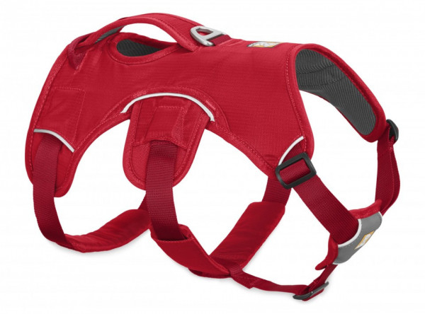 Ham Web Master Ruffwear -XXS - Red Currant
