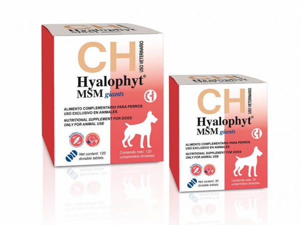 Hyalophyt MSM Giants - Supliment pentru articulatii - 30cpr.
