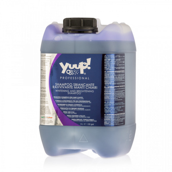 Sampon Yuup Professional White - 5L