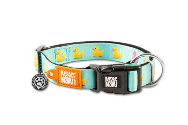 Zgarda Max & Molly Smart ID - XS - Ducklings