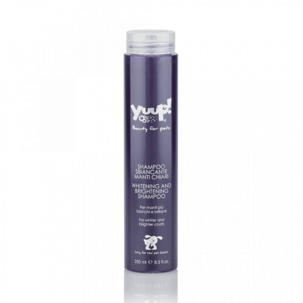 Sampon Yuup Home White - 250ml