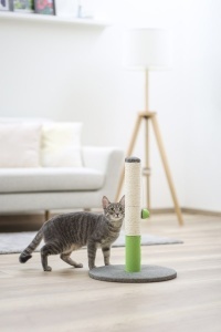 Ansamblu de joaca pentru pisici - Opal Basic - Verde/Gri - Img 3