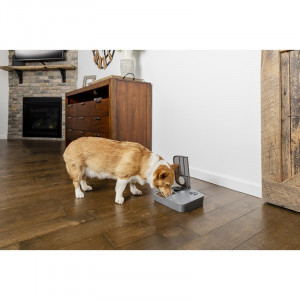 Dispenser automat hrana PetSafe - 2 mese - Img 5