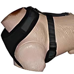 Ham reglabil confort - L - Img 1
