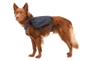 Rucsac caini Front Range Day Pack Ruffwear - M - Basalt Gray