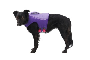 Vesta de inot Float Coat - Ruffwear - Purple Lily - M - Img 2