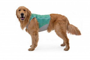 Vesta racire Swamp Cooler Ruffwear - M - Blue Mist