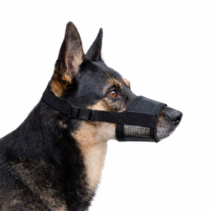 Botnita din nailon pentru caini, ajustabila - XL