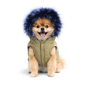 Geaca Anorak - S - Img 6