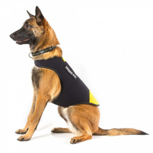 Vesta neopren Julius K9 - S - Galben - Img 1