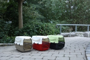 Cusca transport plastic - Bordo - 45 x 30 x 30 cm - Albastru - Img 4