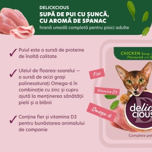 Delickcious Cat - Supa de Pui cu Sunca si Spanac - 80g - Img 3