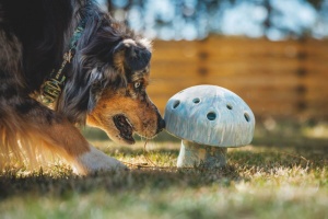 Jucarie Ruffwear Porcini - Gray Sky