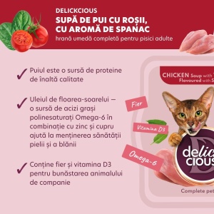 Delickcious Cat - Supa de Pui cu Rosii si Spanac - 80g - Img 4