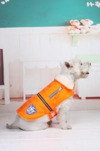 Geaca reflectorizanta - Petsafe - Portocaliu - XS - Img 2