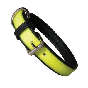 Zgarda K9 IDC Lumino - Fosforescenta - 45cm