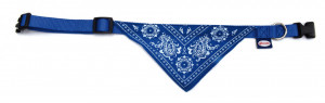 Zgarda nylon, cu bandana - 2.5 cm - Albastru