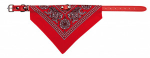 Zgarda piele, cu bandana - XS - Img 2