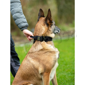 Zgarda Tactical 2.0 EuroJoe, cu maner - XL - Negru - Img 1