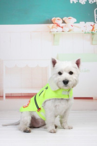 Geaca reflectorizanta - Petsafe - Verde - XXL